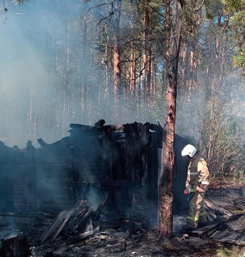 В Холмогорском районе добровольцы спасли дом от пожара